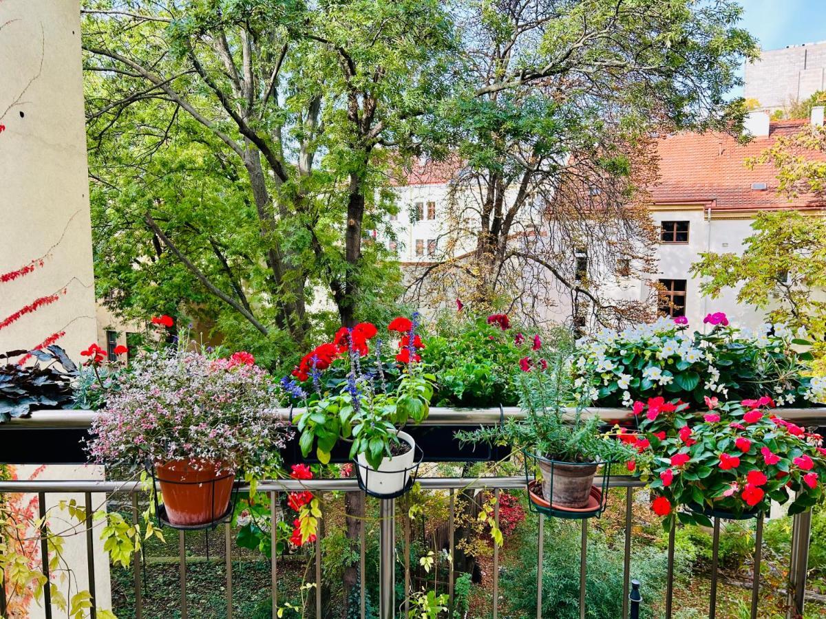 Green Balcony & King Size Bed Praga Exterior foto